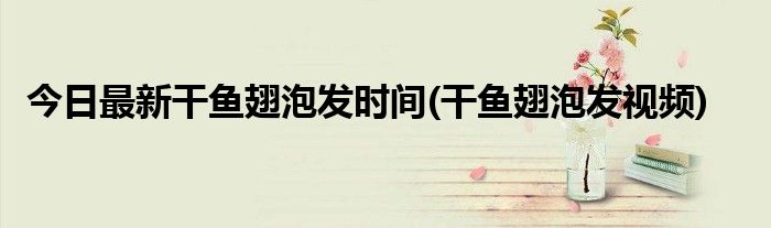 今日最新干鱼翅泡发时间(干鱼翅泡发视频)
