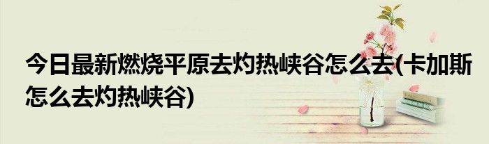 今日最新燃烧平原去灼热峡谷怎么去(卡加斯怎么去灼热峡谷)