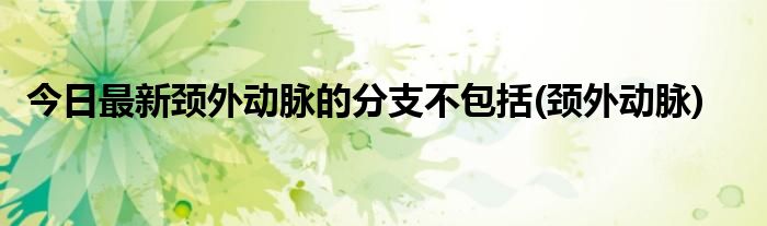 今日最新颈外动脉的分支不包括(颈外动脉)