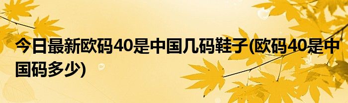 今日最新欧码40是中国几码鞋子(欧码40是中国码多少)