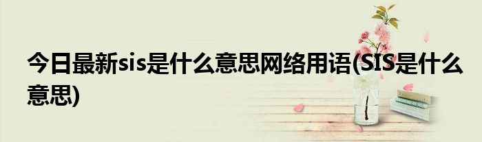 今日最新sis是什么意思网络用语(SIS是什么意思)