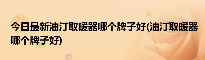 今日最新油汀取暖器哪个牌子好(油汀取暖器哪个牌子好)