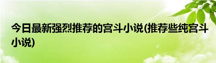 今日最新强烈推荐的宫斗小说(推荐些纯宫斗小说)