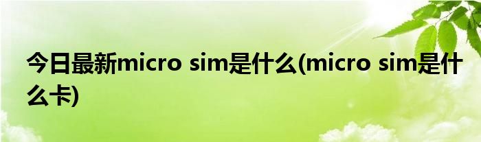 今日最新micro sim是什么(micro sim是什么卡)