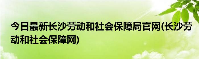 今日最新长沙劳动和社会保障局官网(长沙劳动和社会保障网)