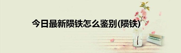 今日最新陨铁怎么鉴别(陨铁)
