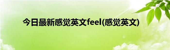 今日最新感觉英文feel(感觉英文)