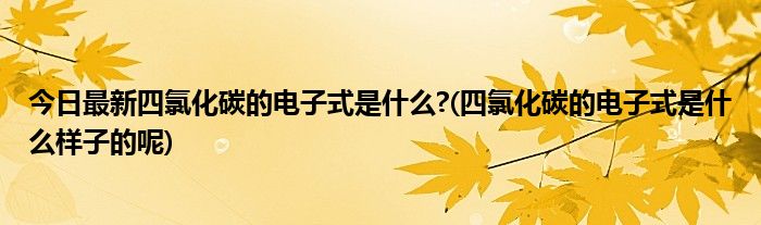 今日最新四氯化碳的电子式是什么?(四氯化碳的电子式是什么样子的呢)