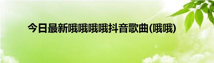 今日最新哦哦哦哦抖音歌曲(哦哦)