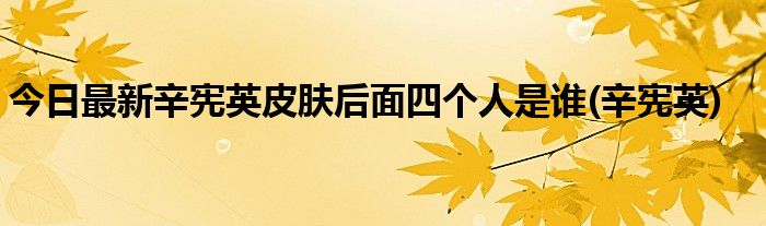 今日最新辛宪英皮肤后面四个人是谁(辛宪英)