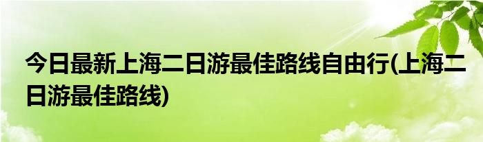 今日最新上海二日游最佳路线自由行(上海二日游最佳路线)