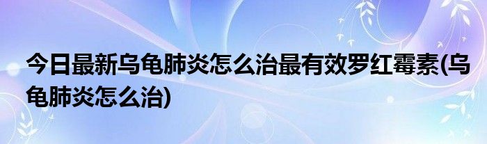 今日最新乌龟肺炎怎么治最有效罗红霉素(乌龟肺炎怎么治)