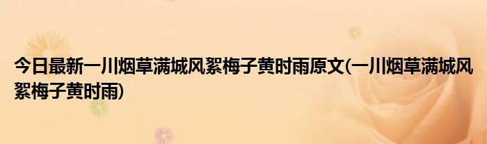 今日最新一川烟草满城风絮梅子黄时雨原文(一川烟草满城风絮梅子黄时雨)
