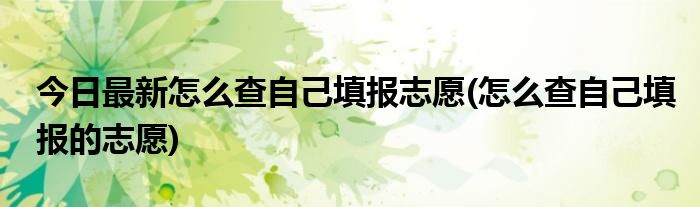 今日最新怎么查自己填报志愿(怎么查自己填报的志愿)