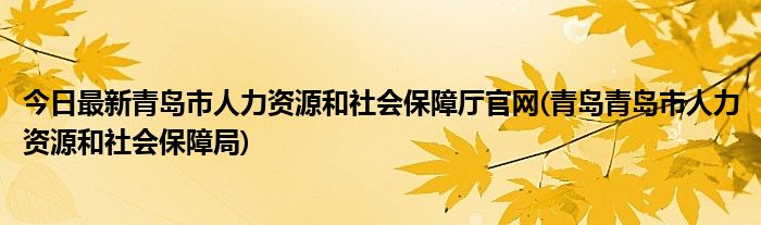 今日最新青岛市人力资源和社会保障厅官网(青岛青岛市人力资源和社会保障局)