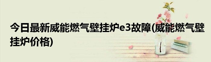 今日最新威能燃气壁挂炉e3故障(威能燃气壁挂炉价格)