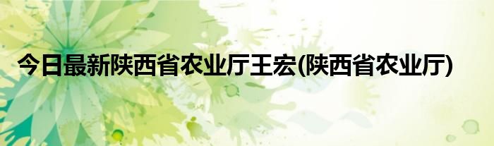 今日最新陕西省农业厅王宏(陕西省农业厅)