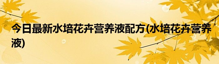 今日最新水培花卉营养液配方(水培花卉营养液)