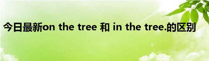 今日最新on the tree 和 in the tree.的区别
