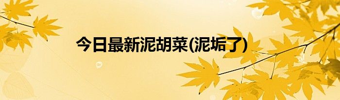 今日最新泥胡菜(泥垢了)