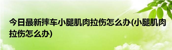 今日最新摔车小腿肌肉拉伤怎么办(小腿肌肉拉伤怎么办)