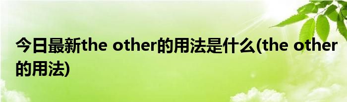 今日最新the other的用法是什么(the other的用法)