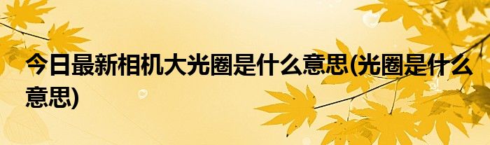 今日最新相机大光圈是什么意思(光圈是什么意思)
