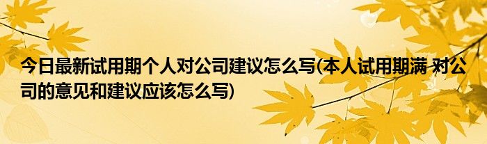 今日最新试用期个人对公司建议怎么写(本人试用期满 对公司的意见和建议应该怎么写)