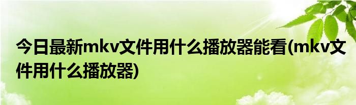 今日最新mkv文件用什么播放器能看(mkv文件用什么播放器)