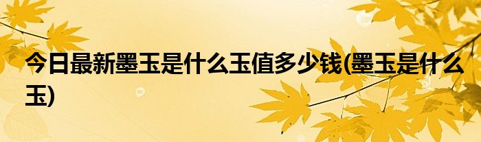 今日最新墨玉是什么玉值多少钱(墨玉是什么玉)