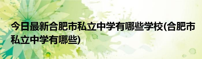 今日最新合肥市私立中学有哪些学校(合肥市私立中学有哪些)