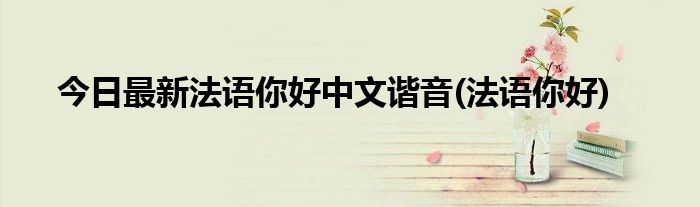 今日最新法语你好中文谐音(法语你好)