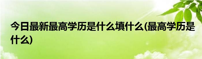 今日最新最高学历是什么填什么(最高学历是什么)