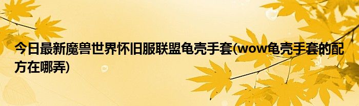 今日最新魔兽世界怀旧服联盟龟壳手套(wow龟壳手套的配方在哪弄)