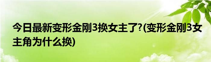 今日最新变形金刚3换女主了?(变形金刚3女主角为什么换)