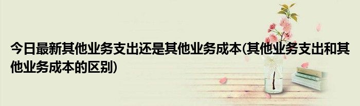 今日最新其他业务支出还是其他业务成本(其他业务支出和其他业务成本的区别)