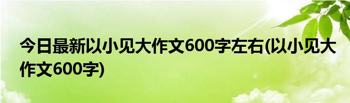 今日最新以小见大作文600字左右(以小见大作文600字)