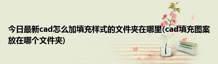 今日最新cad怎么加填充样式的文件夹在哪里(cad填充图案放在哪个文件夹)