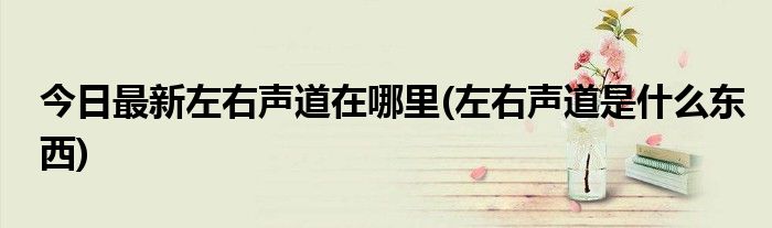今日最新左右声道在哪里(左右声道是什么东西)