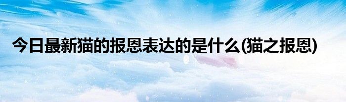 今日最新猫的报恩表达的是什么(猫之报恩)