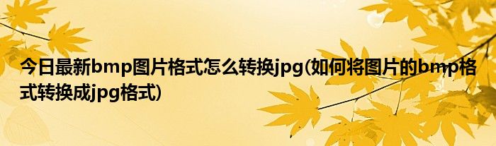 今日最新bmp图片格式怎么转换jpg(如何将图片的bmp格式转换成jpg格式)