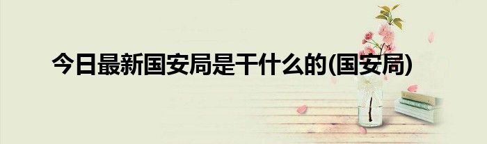 今日最新国安局是干什么的(国安局)