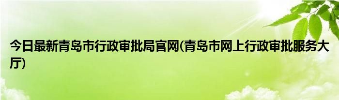 今日最新青岛市行政审批局官网(青岛市网上行政审批服务大厅)