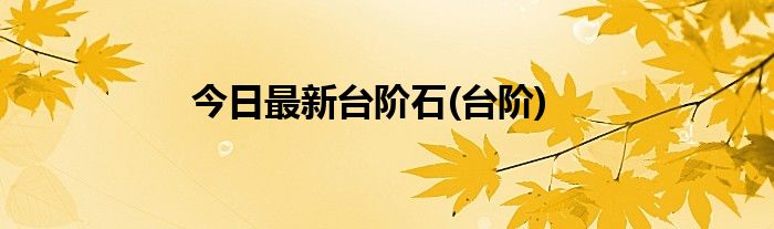 今日最新台阶石(台阶)