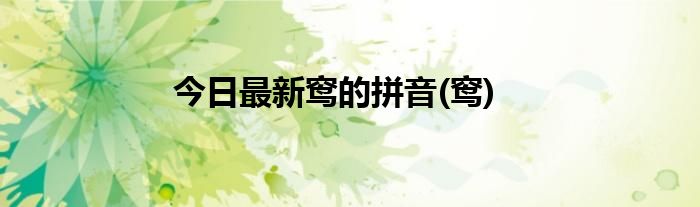 今日最新窎的拼音(窎)