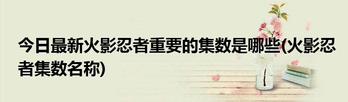 今日最新火影忍者重要的集数是哪些(火影忍者集数名称)