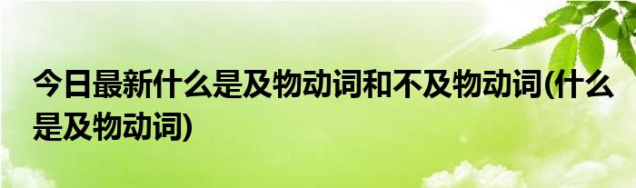 今日最新什么是及物动词和不及物动词(什么是及物动词)