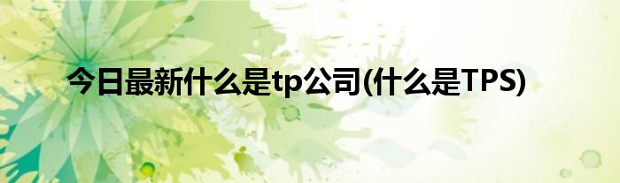 今日最新什么是tp公司(什么是TPS)