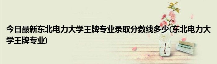 今日最新东北电力大学王牌专业录取分数线多少(东北电力大学王牌专业)