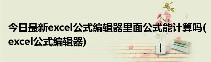 今日最新excel公式编辑器里面公式能计算吗(excel公式编辑器)